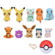 Photo3: Pokemon Center 2017 Petit Plush in Poke Ball Case Charmander doll (3)