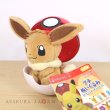 Photo1: Pokemon Center 2017 Petit Plush in Poke Ball Case Eevee doll (1)