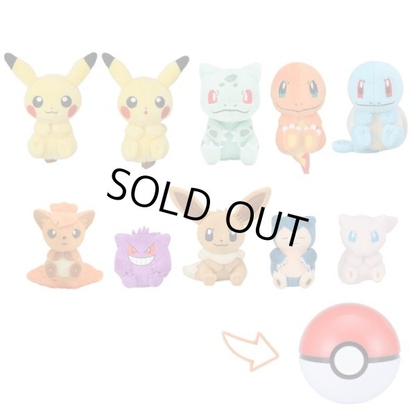 Photo3: Pokemon Center 2017 Petit Plush in Poke Ball Case Gengar doll (3)