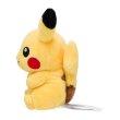 Photo2: Pokemon Center 2018 Pokemon fit Mini Plush #25 Pikachu doll Toy (2)