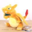 Photo4: Pokemon Center 2018 Pokemon fit Mini Plush #6 Charizard doll Toy (4)