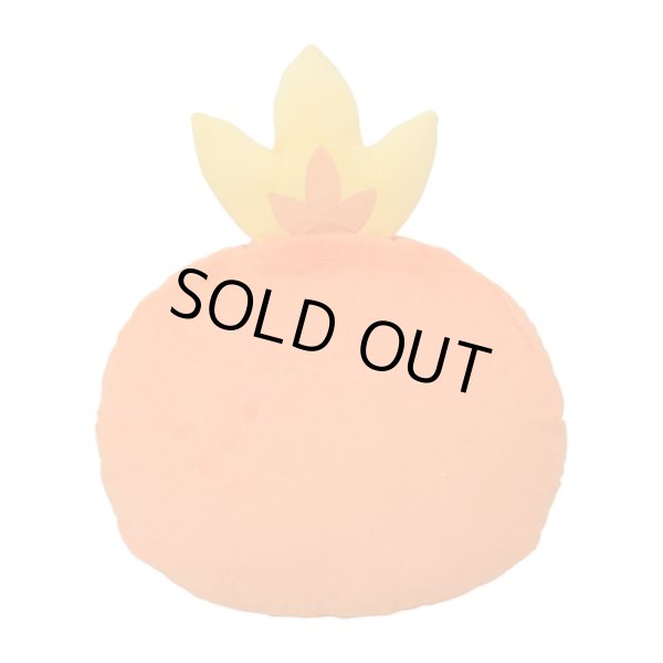 Photo3: Pokemon Center 2021 Honwaka Poka Poka Foot warmer Cushion Torchic (3)