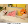 Photo5: Pokemon Center 2021 Honwaka Poka Poka Foot warmer Cushion Torchic (5)