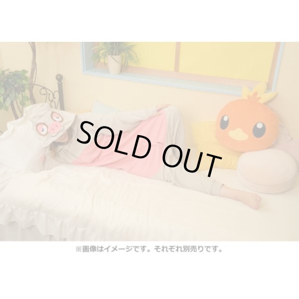 Photo5: Pokemon Center 2021 Honwaka Poka Poka Foot warmer Cushion Torchic (5)