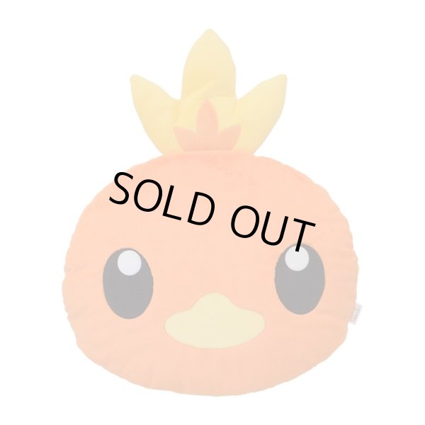 Photo2: Pokemon Center 2021 Honwaka Poka Poka Foot warmer Cushion Torchic (2)