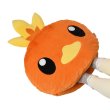 Photo1: Pokemon Center 2021 Honwaka Poka Poka Foot warmer Cushion Torchic (1)