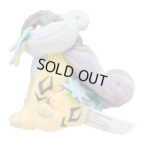 Photo2: Pokemon Center 2019 Pokemon fit Mini Plush #243 Raikou doll Toy (2)