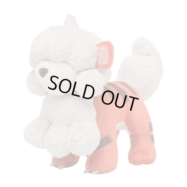 Photo2: Pokemon Center 2022 Hisui Region campaign Plush doll Hisuian Growlithe (2)