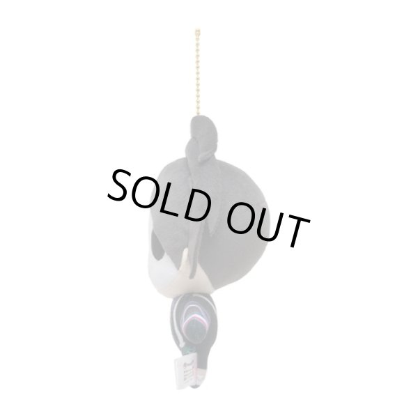 Photo3: Pokemon Center 2022 Pokemon Trainers Plush Mascot Key chain Allister (3)