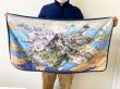 Photo3: Pokemon Center 2022 Hisui Region campaig Map Blanket Lap robe (3)