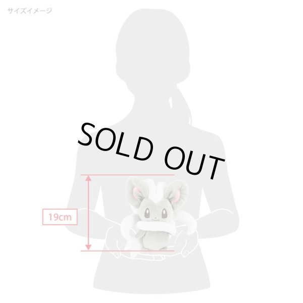 Photo5: Pokemon 2022 ALL STAR COLLECTION Cinccino Plush Toy SAN-EI (5)