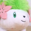 Photo3: Pokemon 2017 ALL STAR COLLECTION Shaymin Land Form Plush Toy SAN-EI (3)