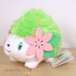 Photo2: Pokemon 2017 ALL STAR COLLECTION Shaymin Land Form Plush Toy SAN-EI (2)