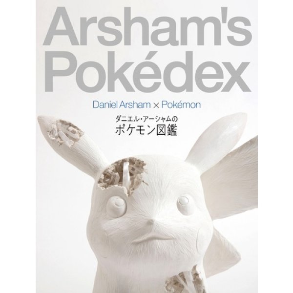 Daniel Arsham's Pokedex Pokemon Picture Art Book Japanese