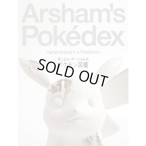 Photo1: Daniel Arsham's Pokedex Pokemon Picture Art Book Japanese (1)