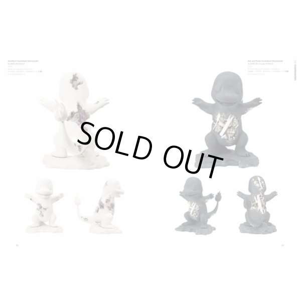 Photo6: Daniel Arsham's Pokedex Pokemon Picture Art Book Japanese (6)