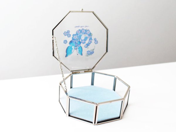 Photo4: Pokemon Center 2022 Baby Blue Eyes Jewelry case Accessories (4)