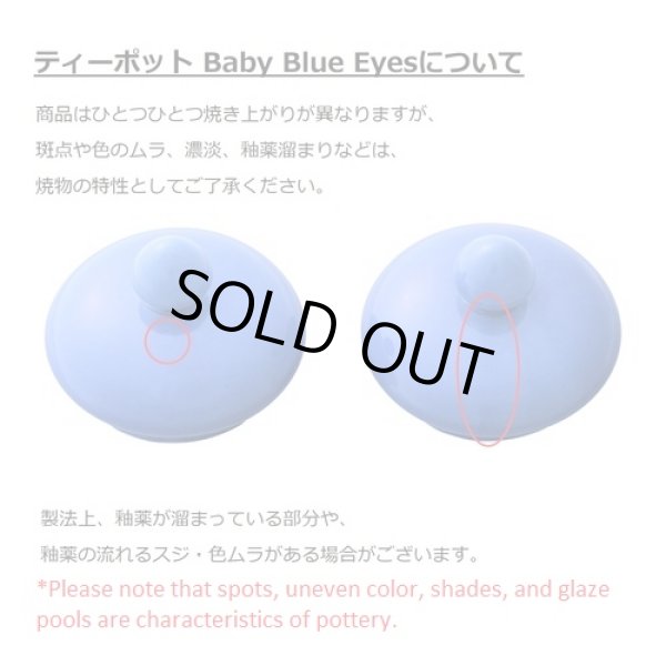 Photo4: Pokemon Center 2022 Baby Blue Eyes Teapot (4)