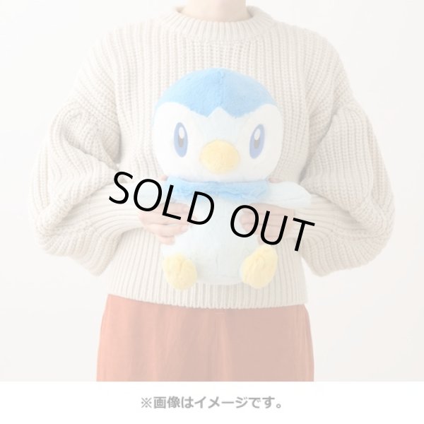 Photo4: Pokemon Center 2022 FUWA-FUWA Fluffy Plush doll Piplup (4)