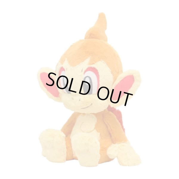 Photo2: Pokemon Center 2022 FUWA-FUWA Fluffy Plush doll Chimchar (2)
