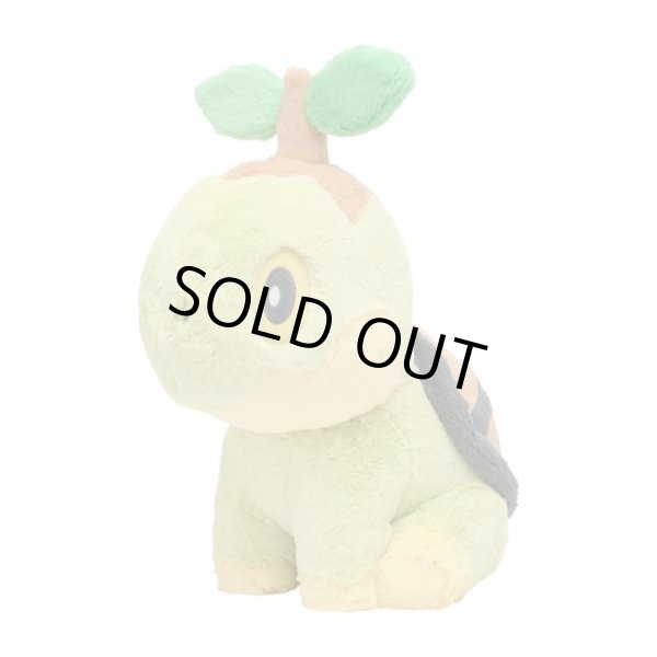 Photo2: Pokemon Center 2022 FUWA-FUWA Fluffy Plush doll Turtwig (2)