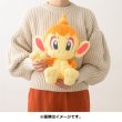 Photo4: Pokemon Center 2022 FUWA-FUWA Fluffy Plush doll Chimchar (4)