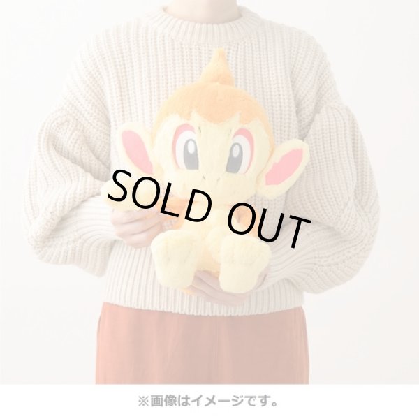 Photo4: Pokemon Center 2022 FUWA-FUWA Fluffy Plush doll Chimchar (4)
