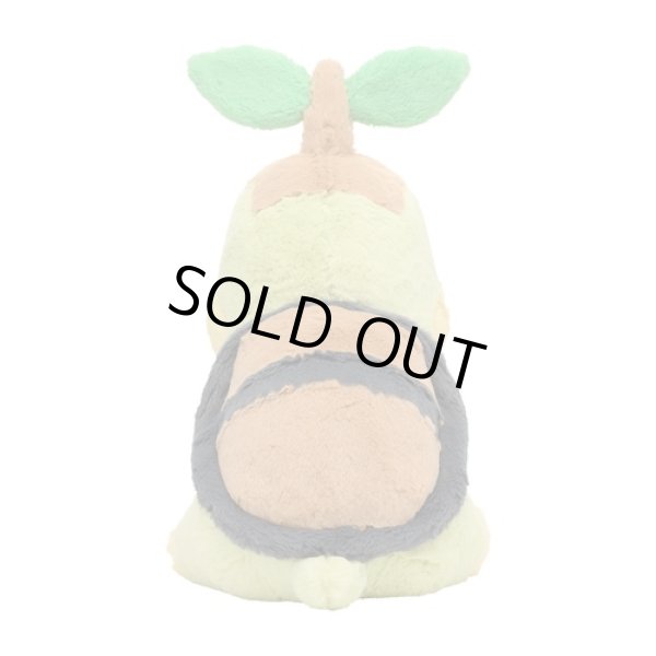 Photo3: Pokemon Center 2022 FUWA-FUWA Fluffy Plush doll Turtwig (3)