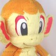 Photo6: Pokemon Center 2022 FUWA-FUWA Fluffy Plush doll Chimchar (6)