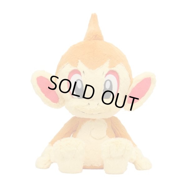 Photo1: Pokemon Center 2022 FUWA-FUWA Fluffy Plush doll Chimchar (1)