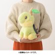 Photo4: Pokemon Center 2022 FUWA-FUWA Fluffy Plush doll Turtwig (4)