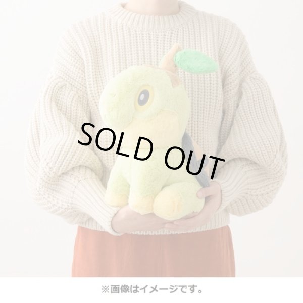 Photo4: Pokemon Center 2022 FUWA-FUWA Fluffy Plush doll Turtwig (4)