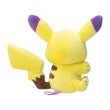 Photo2: Pokemon Center 2022 Play Rough! Hand Clip Plush doll Pikachu (2)