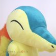 Photo5: Pokemon Center 2021 Cyndaquil Plush doll (5)