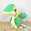 Photo3: Pokemon Center 2022 Snivy Plush doll (3)