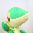 Photo4: Pokemon Center 2022 Snivy Plush doll (4)