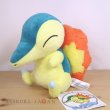 Photo4: Pokemon Center 2021 Cyndaquil Plush doll (4)