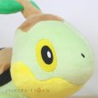 Photo5: Pokemon Center 2021 Turtwig Plush doll (5)