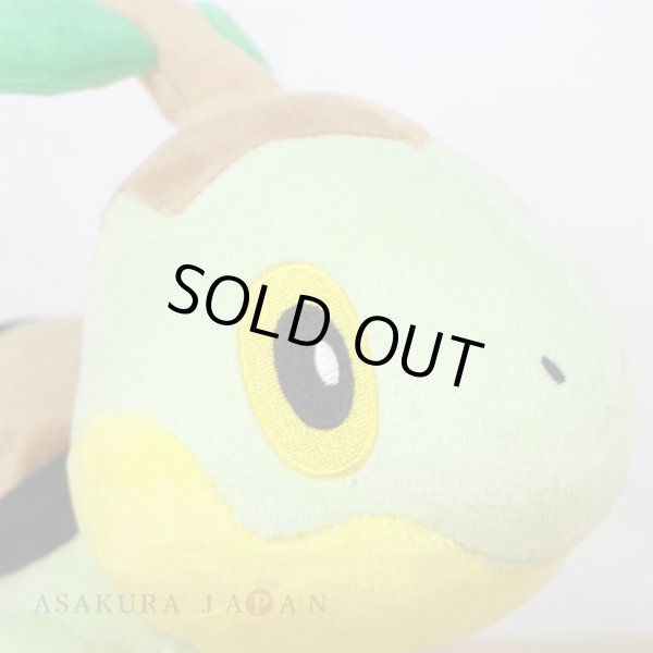 Photo5: Pokemon Center 2021 Turtwig Plush doll (5)