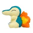 Photo2: Pokemon Center 2019 Pokemon fit Mini Plush #155 Cyndaquil doll Toy (2)