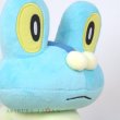 Photo5: Pokemon Center 2022 Froakie Plush doll (5)