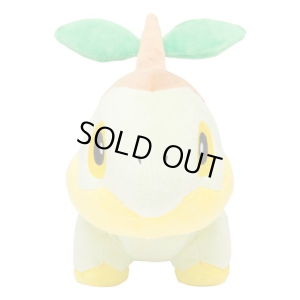 Photo2: Pokemon Center 2021 Turtwig Plush doll (2)