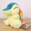 Photo4: Pokemon Center 2019 Pokemon fit Mini Plush #155 Cyndaquil doll Toy (4)