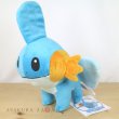 Photo4: Pokemon Center 2021 Mudkip Plush doll (4)