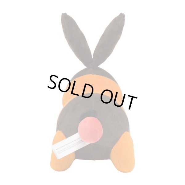 Photo3: Pokemon Center 2022 Tepig Plush doll (3)