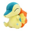 Photo1: Pokemon Center 2021 Cyndaquil Plush doll (1)