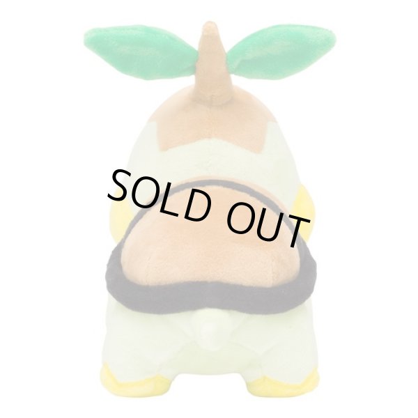 Photo3: Pokemon Center 2021 Turtwig Plush doll (3)