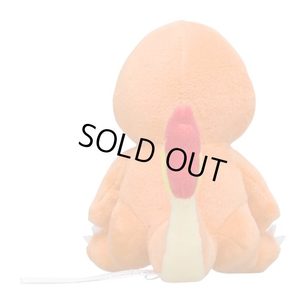 Photo3: Pokemon Center 2018 Pokemon fit Mini Plush #4 Charmander doll Toy (3)
