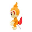 Photo2: Pokemon Center 2021 Chimchar Plush doll (2)