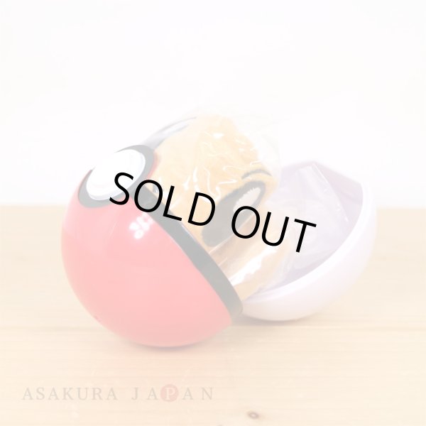 Photo5: Pokemon Center 2022 Hair band collection in Poke Ball case Eevee ver. (5)